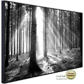 Papermoon Infrarotheizung »EcoHeat - Wald Schwarz + Weiss«, Matt-Effekt - bunt