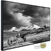 Papermoon Infrarotheizung »EcoHeat - Pferde, Steppe Schwarz + Weiss«, Matt-Effekt - bunt