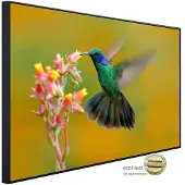 Papermoon Infrarotheizung »EcoHeat - Kolibri Colibri Thalassinus«, Matt-Effekt - bunt