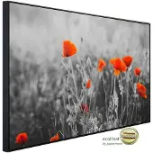 Papermoon Infrarotheizung »EcoHeat - Rote Mohnblumen«, Matt-Effekt - bunt