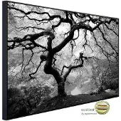 Papermoon Infrarotheizung »EcoHeat - Waldbaum schwarz + weiss«, Matt-Effekt - bunt