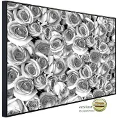 Papermoon Infrarotheizung »EcoHeat - graue Rosen«, Matt-Effekt - bunt