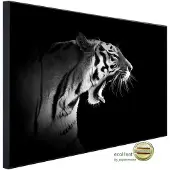 Papermoon Infrarotheizung »EcoHeat - Tiger Schwarz + Weiss«, Matt-Effekt - bunt
