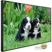 Papermoon Infrarotheizung »EcoHeat - Berner Sennenhunde«, Matt-Effekt - bunt