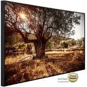 Papermoon Infrarotheizung »EcoHeat - Wald in Landschaft«, Matt-Effekt - bunt