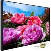 Papermoon Infrarotheizung »EcoHeat - TropicalPeonies«, Matt-Effekt - bunt