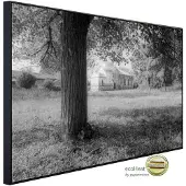 Papermoon Infrarotheizung »EcoHeat - Baum Schwarz + Weiss«, Matt-Effekt - bunt