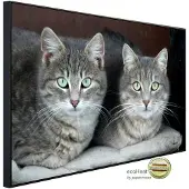 Papermoon Infrarotheizung »EcoHeat - Grüne Augen Katzen«, Matt-Effekt - bunt