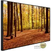 Papermoon Infrarotheizung »EcoHeat - Herbstwald«, Matt-Effekt - bunt