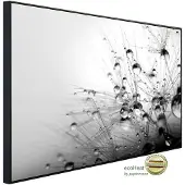 Papermoon Infrarotheizung »EcoHeat - Blumen Schwarz + Weiss«, Matt-Effekt - bunt