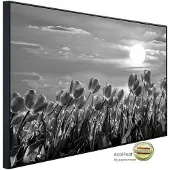 Papermoon Infrarotheizung »EcoHeat - Blumen Schwarz + Weiss«, Matt-Effekt - bunt