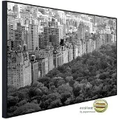 Papermoon Infrarotheizung »EcoHeat - Central Park Schwarz + Weiss«, Matt-Effekt - bunt
