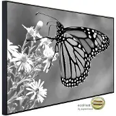 Papermoon Infrarotheizung »EcoHeat - Schmetterling Schwarz + Weiss«, Matt-Effekt - bunt