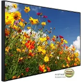 Papermoon Infrarotheizung »EcoHeat - Blumenwiese «, Matt-Effekt - bunt