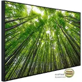 Papermoon Infrarotheizung »EcoHeat - Hohe Buchen«, Matt-Effekt - bunt