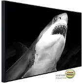 Papermoon Infrarotheizung »EcoHeat - Haifisch Schwarz + Weiss«, Matt-Effekt - bunt