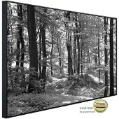 Papermoon Infrarotheizung »EcoHeat - Wald Schwarz + Weiss«, Matt-Effekt - bunt