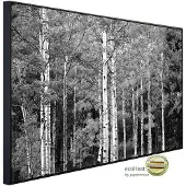 Papermoon Infrarotheizung »EcoHeat - Wald Schwarz + Weiss«, Matt-Effekt - bunt
