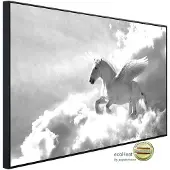 Papermoon Infrarotheizung »EcoHeat - Pegasus Schwarz + Weiss«, Matt-Effekt - bunt