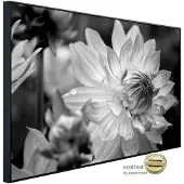 Papermoon Infrarotheizung »EcoHeat - Blume Schwarz + Weiss«, Matt-Effekt - bunt