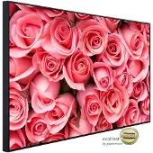 Papermoon Infrarotheizung »EcoHeat - Rosa Rosenblumen«, Matt-Effekt - bunt