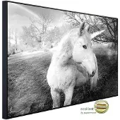 Papermoon Infrarotheizung »EcoHeat - Einhorn Schwarz + Weiss«, Matt-Effekt - bunt