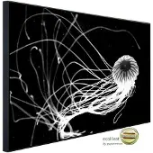 Papermoon Infrarotheizung »EcoHeat - Qualle Schwarz + Weiss«, Matt-Effekt - bunt
