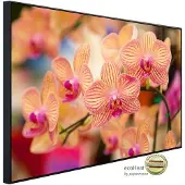 Papermoon Infrarotheizung »EcoHeat - Blumen«, Matt-Effekt - bunt