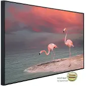 Papermoon Infrarotheizung »EcoHeat - Flamingo «, Matt-Effekt - bunt
