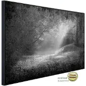 Papermoon Infrarotheizung »EcoHeat - Wald Schwarz + Weiss«, Matt-Effekt - bunt