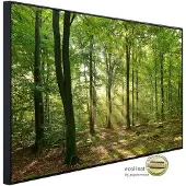 Papermoon Infrarotheizung »EcoHeat - Forrest Morgen«, Matt-Effekt - bunt