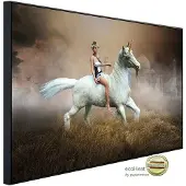 Papermoon Infrarotheizung »EcoHeat - Einhorn Fantasy Elf«, Matt-Effekt - bunt