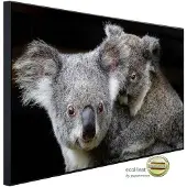 Papermoon Infrarotheizung »EcoHeat - Koala Mutter und Joey«, Matt-Effekt - bunt