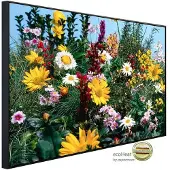 Papermoon Infrarotheizung »EcoHeat - Blumenwiese «, Matt-Effekt - bunt