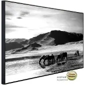 Papermoon Infrarotheizung »EcoHeat - Lanschaft Schwarz + Weiss«, Matt-Effekt - bunt