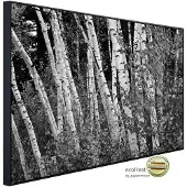 Papermoon Infrarotheizung »EcoHeat - Birkenwald Schwarz + Weiss«, Matt-Effekt - bunt