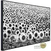 Papermoon Infrarotheizung »EcoHeat - Sonnenblumen Schwarz + Weiss«, Matt-Effekt - bunt