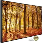 Papermoon Infrarotheizung »EcoHeat - Herbstwald«, Matt-Effekt - bunt