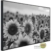 Papermoon Infrarotheizung »EcoHeat - Sonnenblumen Schwarz + Weiss«, Matt-Effekt - bunt