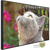 Papermoon Infrarotheizung »EcoHeat - Schmetterling und Katze«, Matt-Effekt - bunt