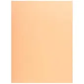 Exacompta Sammelmappen - Aktendeckel