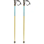 Völkl Phantastick 16 Mm Stöcke