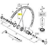 Shimano Gerade Strahlen Shimano WH-RS81-C35-CL-R