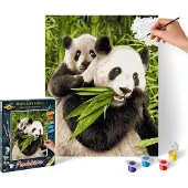 Schipper MNZ Pandabären