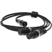 Fischer Amps XLR Adapterkabel für In Ear Stick / Mini Body Pack