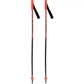 Rossignol Hero Gs Junior Stöcke