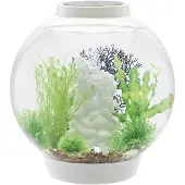 Oase 72007 Akvarium biOrb CLASSIC 30 LED weiß 30 l med LED-belysning
