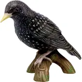 Goebel Figur " Vogel des Jahres 2018 - Star " in Bunt | Gr.: onesize