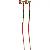 LEKI Herren Alpin-Skistock WCR GS 3D