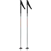 Rossignol Freeride Pro Safety Frau Pole